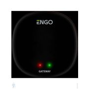 Универсальный интернет шлюз Zigbee для ENGO Smart EGATEZB