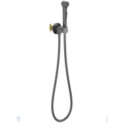 Набор с гигиеническим душем Aquatek Европа AQ1020BGM встраиваемый, 1 отв., однозахв., сталь оруж